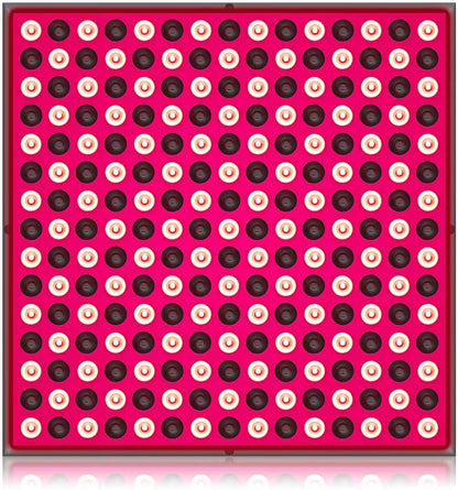 2f1724b4cc8b43f8e40cb60624bf7dc9